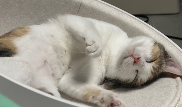 캡처_2025_07_29_15_57_08_6.jpg