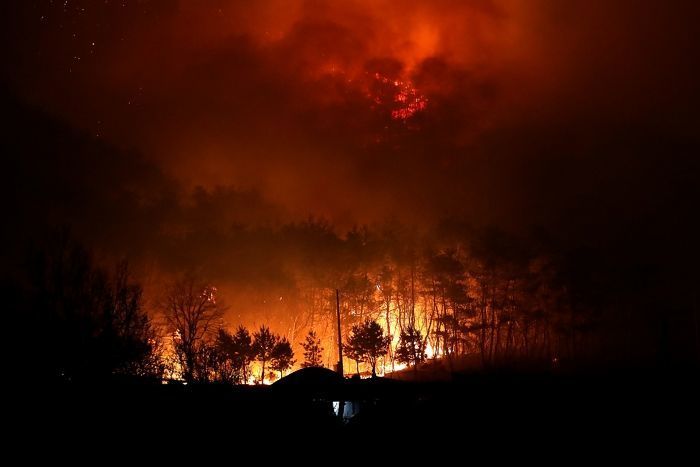 ‘의성산불’ 트라우마 겪은 주민들 ‘무료’로 치료해준 의사... 할머니는 진심 담아 손편지 전했다