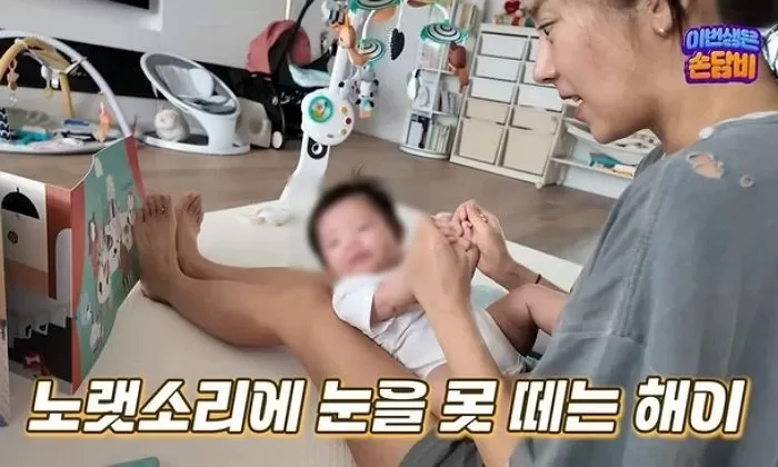 인사이트