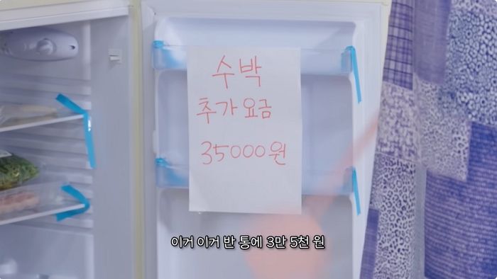 이수지, 이번엔 ‘펜션 갑질’ 풍자했다... “청소·설거지에 추가금 48만원 내라” (영상)