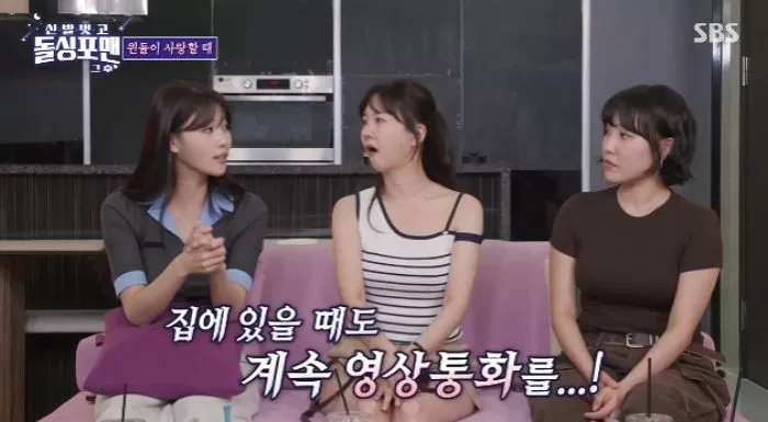 인사이트