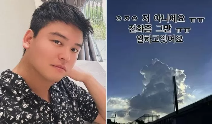 인사이트
