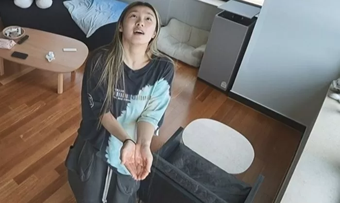 인사이트