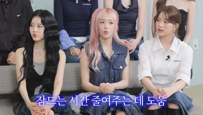 인사이트