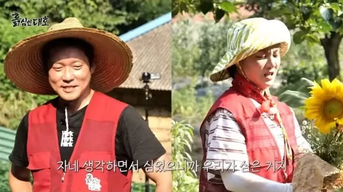 인사이트