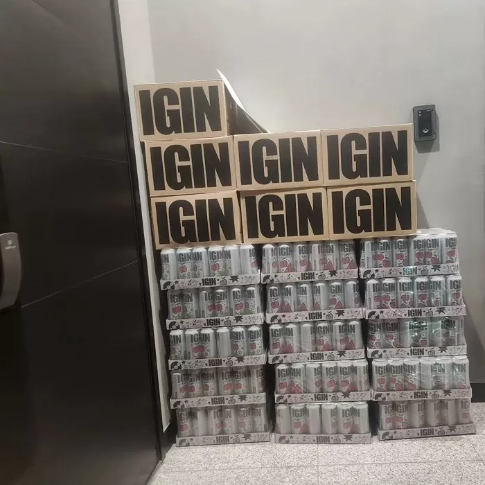 인사이트