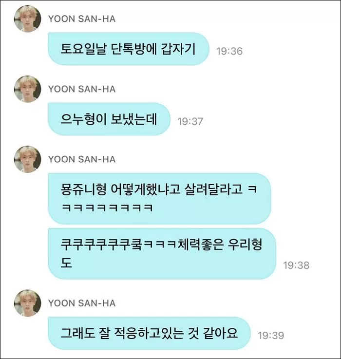 인사이트