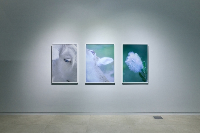 [참고이미지] 이옥토 작가 개인전 ‘Unlife’.jpg