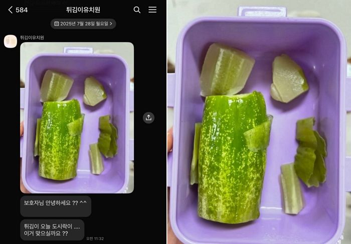 반려견 유치원에 ‘도시락’ 잘못 보내 ‘개모(?)’로 오해받은 주인