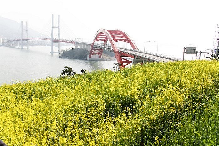 확 트인 자연 경관 보며 달리는 것만으로도 스트레스 날아가는 전국 드라이브 코스 9곳