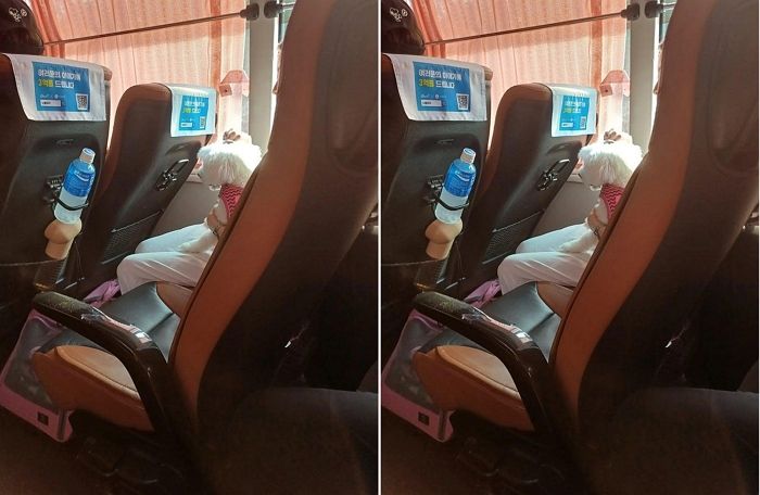 고속버스 좌석에 반려견 앉힌 승객... “이동장에 넣으래도 무시”