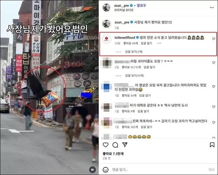 인사이트