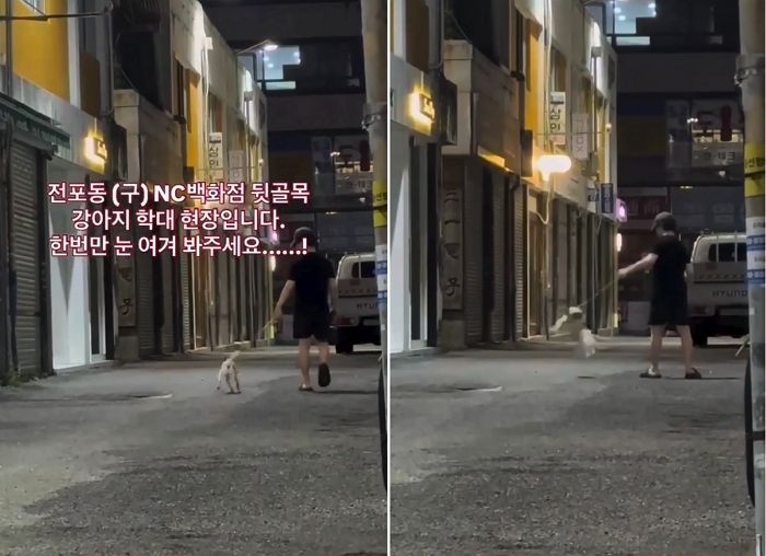 “이 개주인 유명해지게 해주세요” 보배드림에 올라온 학대 영상