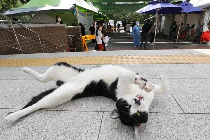 인사이트