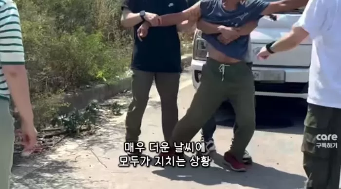 인사이트