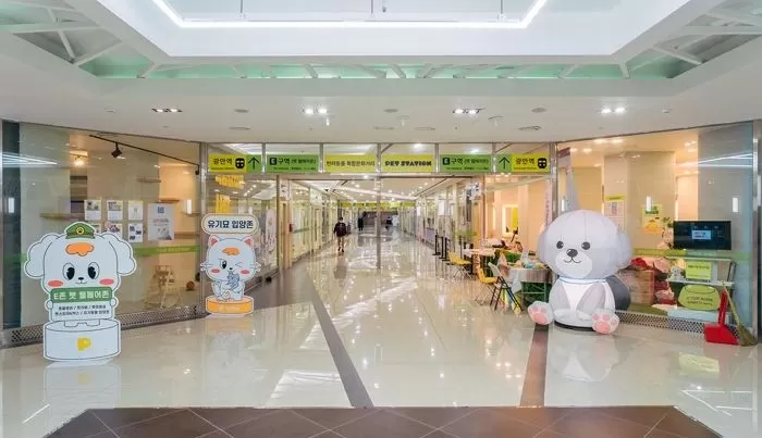 인사이트