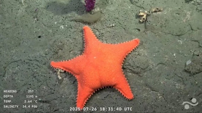 0003339129_002_20250807223114467.jpg