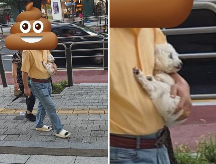 한 손에 강아지 들고 담배 태우며 거리 활보하는 중년남성