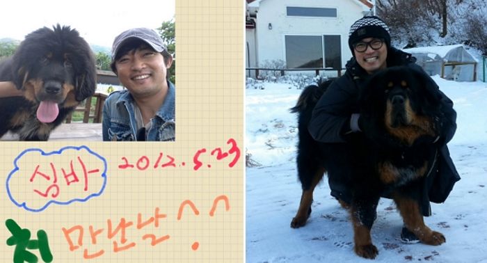 안재욱, 13년 정성으로 기른 반려견과 이별... “하늘나라에서 편히 쉬길”