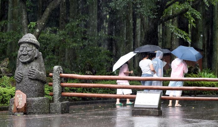 “시간당 30㎜ 강한 비”... 제주 서부·남부·남부중산간 호우특보 발령
