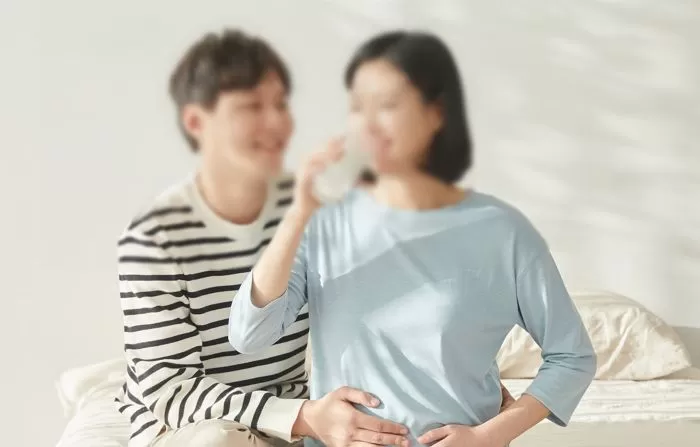 인사이트