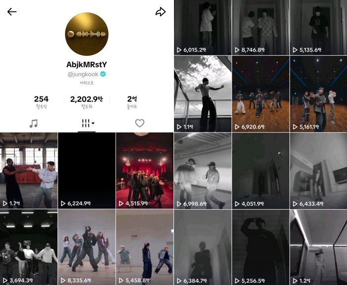 “다시한번 ‘슈퍼스타’ 입증”... 방탄소년단 정국, 8개월 만에 틱톡 팔로워 2200만 돌파