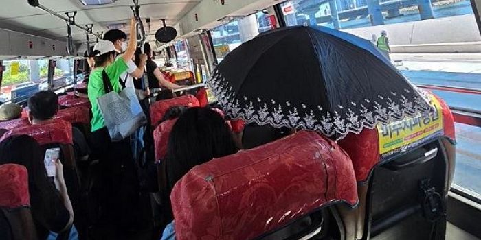 “버스 혼자 쓰나”... 햇볕 뜨겁다고 좌석에서 ‘양산’ 쓴 민폐 승객