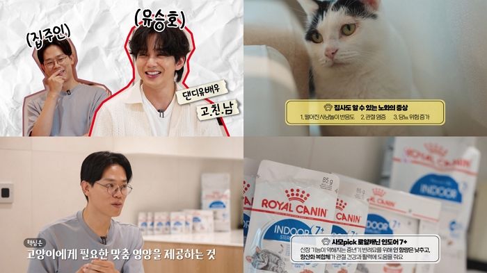 로얄캐닌, 김명철 수의사·배우 유승호와 함께 반려묘 노화 관리법 공개