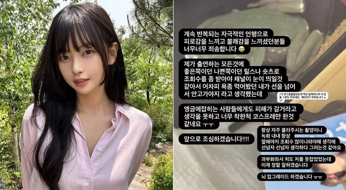 인사이트