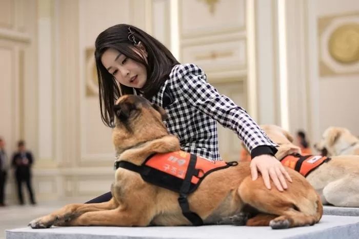 ‘김건희법’이라 불린 개식용종식법... 시행 1년 뒤 근황 봤더니