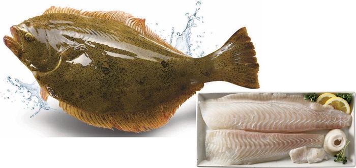 이마트, 광복절 맞아 광어회 50% 할인... “행사 물량 50톤 확보”