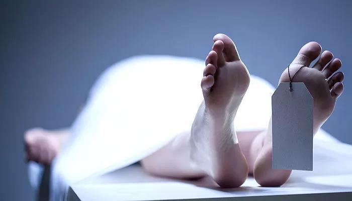 한국인 남성, 캄보디아 범죄단지서 숨진 채 발견... 경찰 조사 ‘충격’