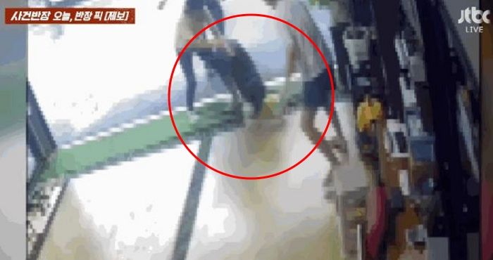 목줄 풀린 셰퍼드에 물린 치와와...  “변상하겠다던 견주, 전화번호 바꾸고 잠적”