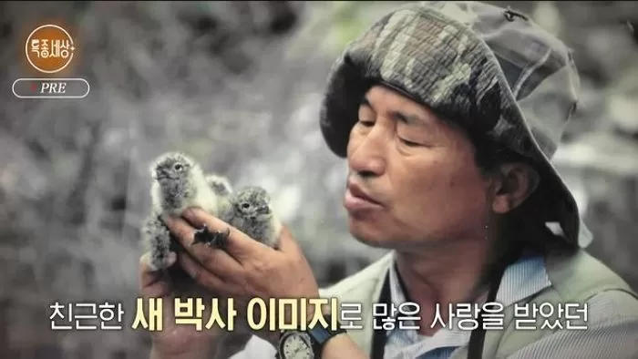 인사이트
