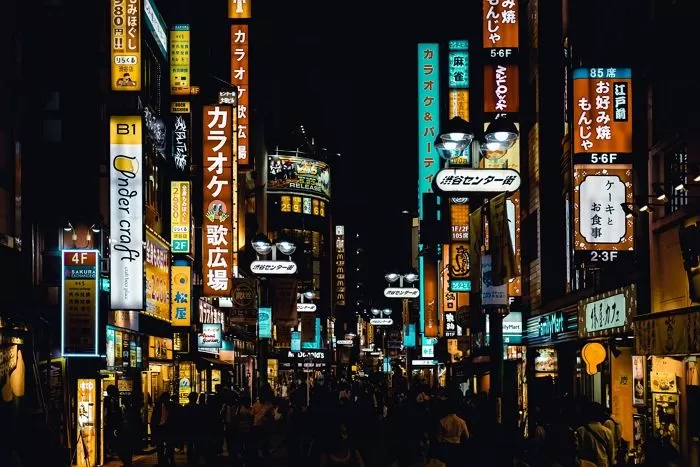 인사이트