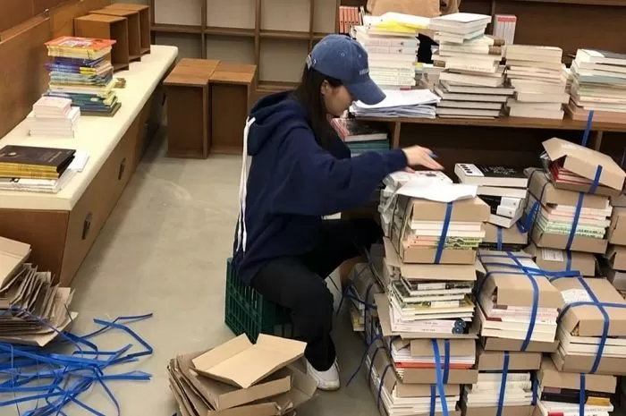인사이트