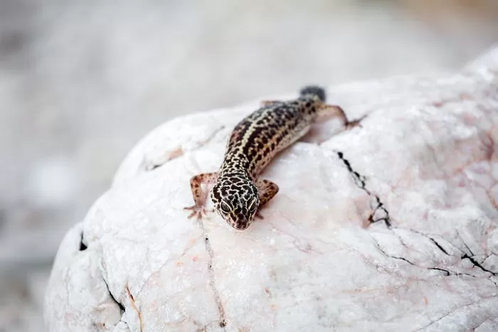기사의 이해를 돕기 위한 자료 사진 / gettyimagesBank