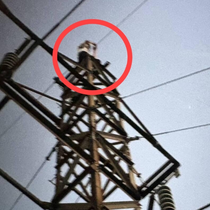 “노을 찍으려다”…송전탑 오른 20대 청년, 감전 후 15m 아래로 추락