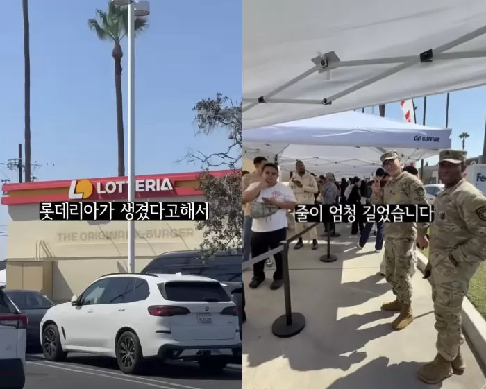 인사이트