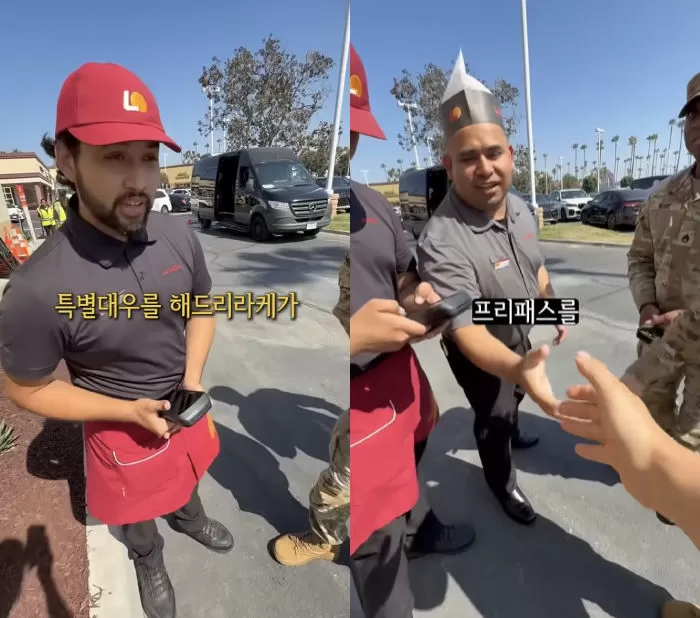 인사이트