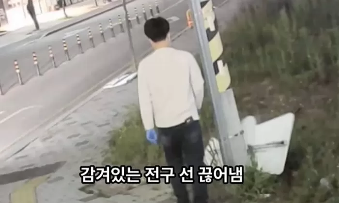 인사이트