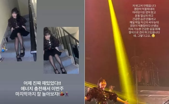 인사이트