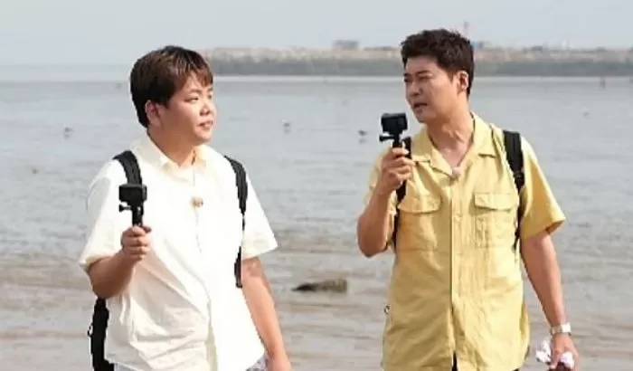 인사이트