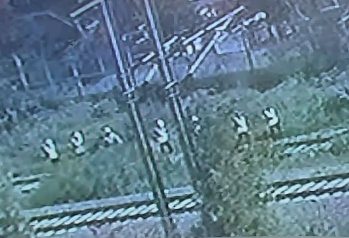 ‘청도 열차 사고’ 직전 CCTV 공개돼... “피할 공간도 없어”