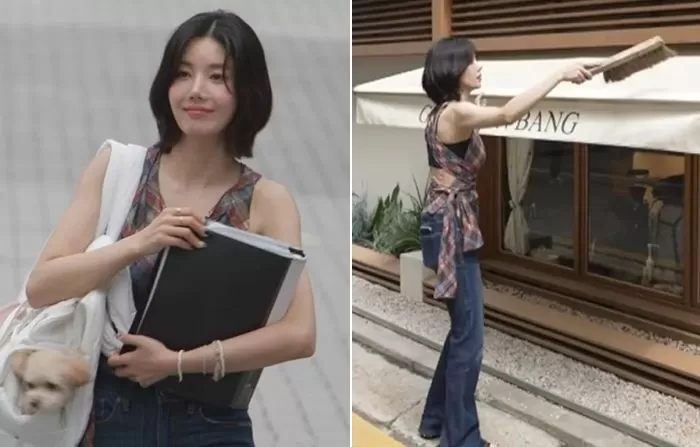 인사이트