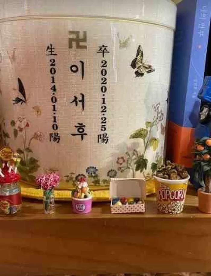 성현주 인스타그램