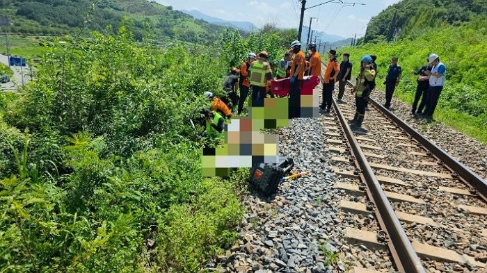 사상자 7명 발생한 ‘무궁화호 열차사고’... 코레일 사장, 책임지고 ‘사의’ 표명