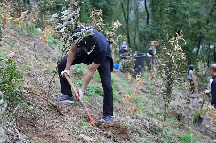 사무실서 키운 도토리, 숲으로 간다... “DL이앤씨의 ‘집씨통’ 캠페인, 대체 뭔데”