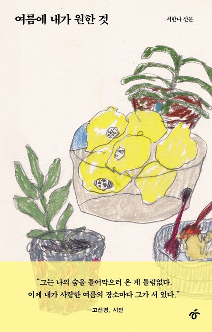 [신간] 여름에 내가 원한 것