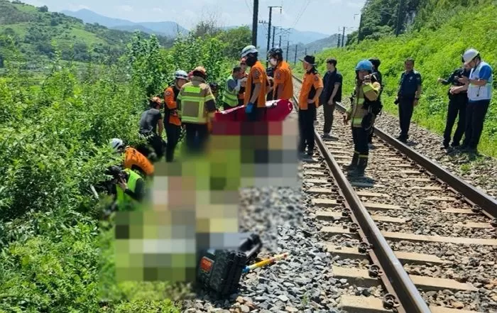 19일 오전 11시 50분쯤 경북 청도군 청도소싸움 경기장 인근 경부선 철로에서 마산으로 향하던 무궁화 열차가 선로에서 작업하던 근로자 7명을 치는 사고가 발생해 출동한 119구조대원이 부상자를 옮기고 있다. / 뉴스1